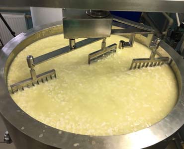 Для изготовления сыра